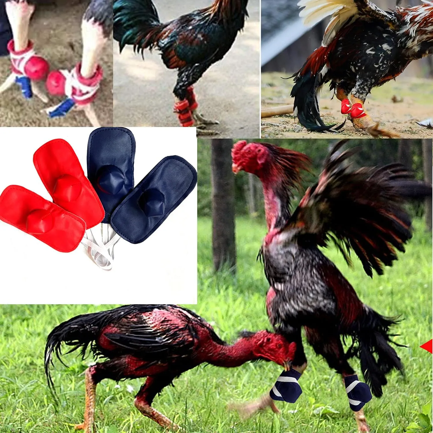 Gamefowl Rooster Supplies Gallos De Pelea Accessories Chicken Supplies Poultry Care Supplies Leg Protect 2 Pairs Color Blue and Red
